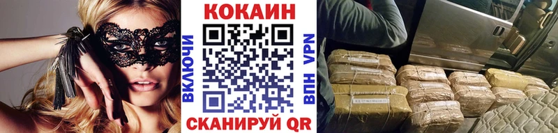 Купить  Губкин  COCAIN FishScale 