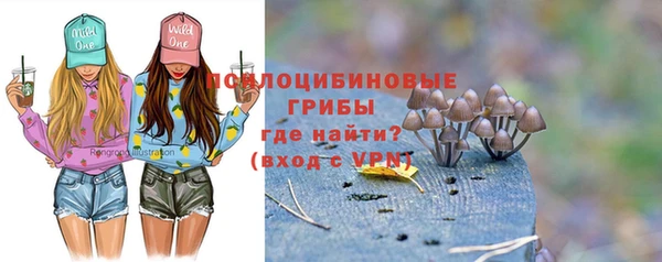 молекула духа Козловка