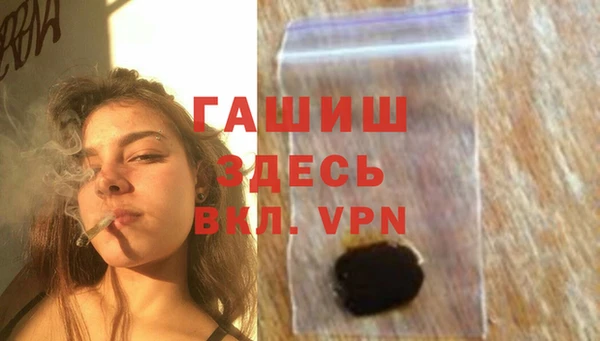 стафф Кодинск