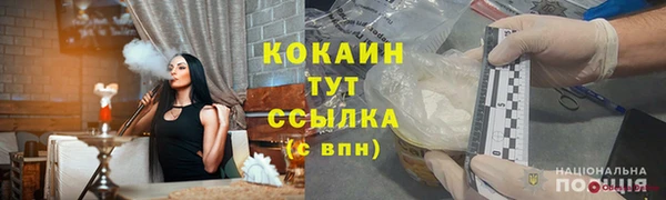 молекула духа Козловка