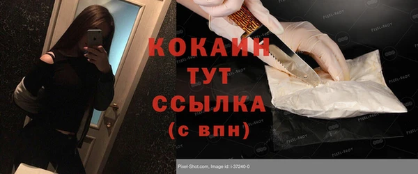 стафф Кодинск