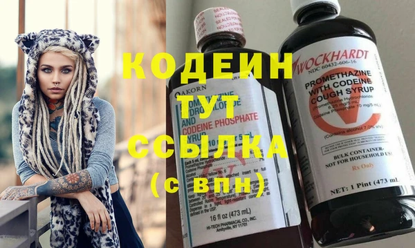 молекула духа Козловка