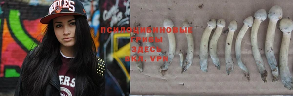 хмурый Козельск