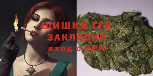 стафф Кодинск