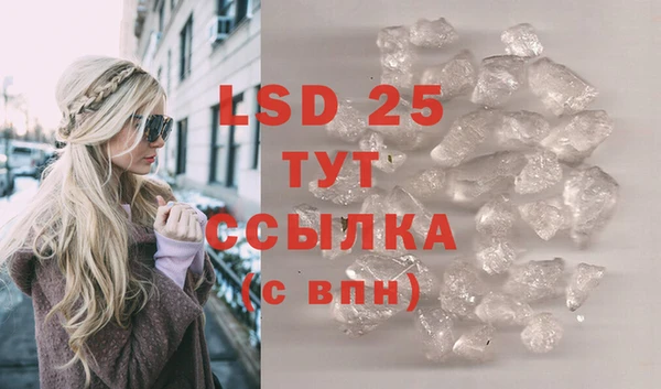 молекула духа Козловка