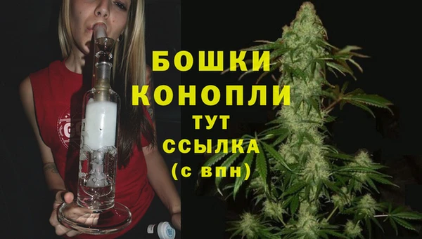 молекула духа Козловка