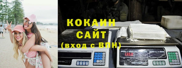 молекула духа Козловка