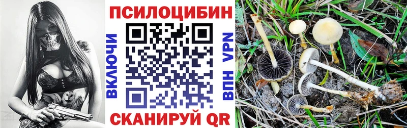 Купить закладки  Губкин  Галлюциногенные грибы Magic Shrooms 